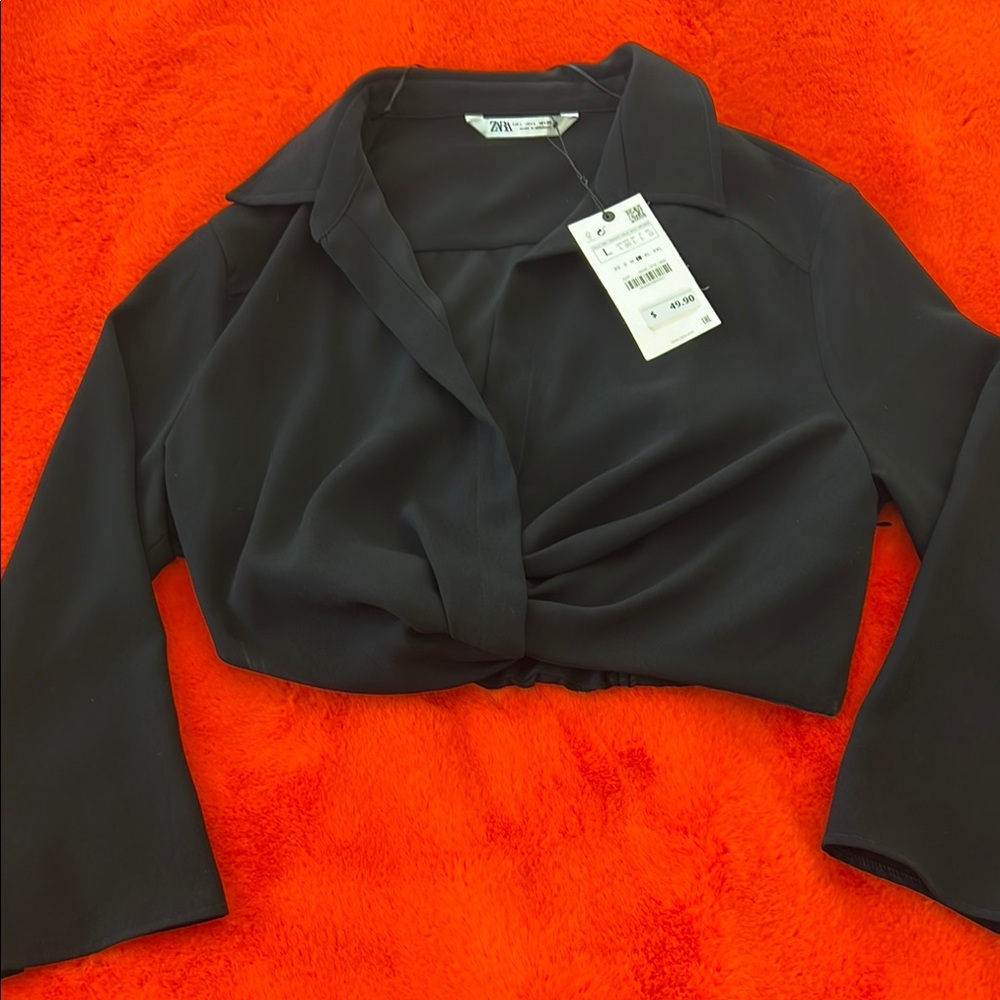 ZARA Black Long Sleeve Crop Top